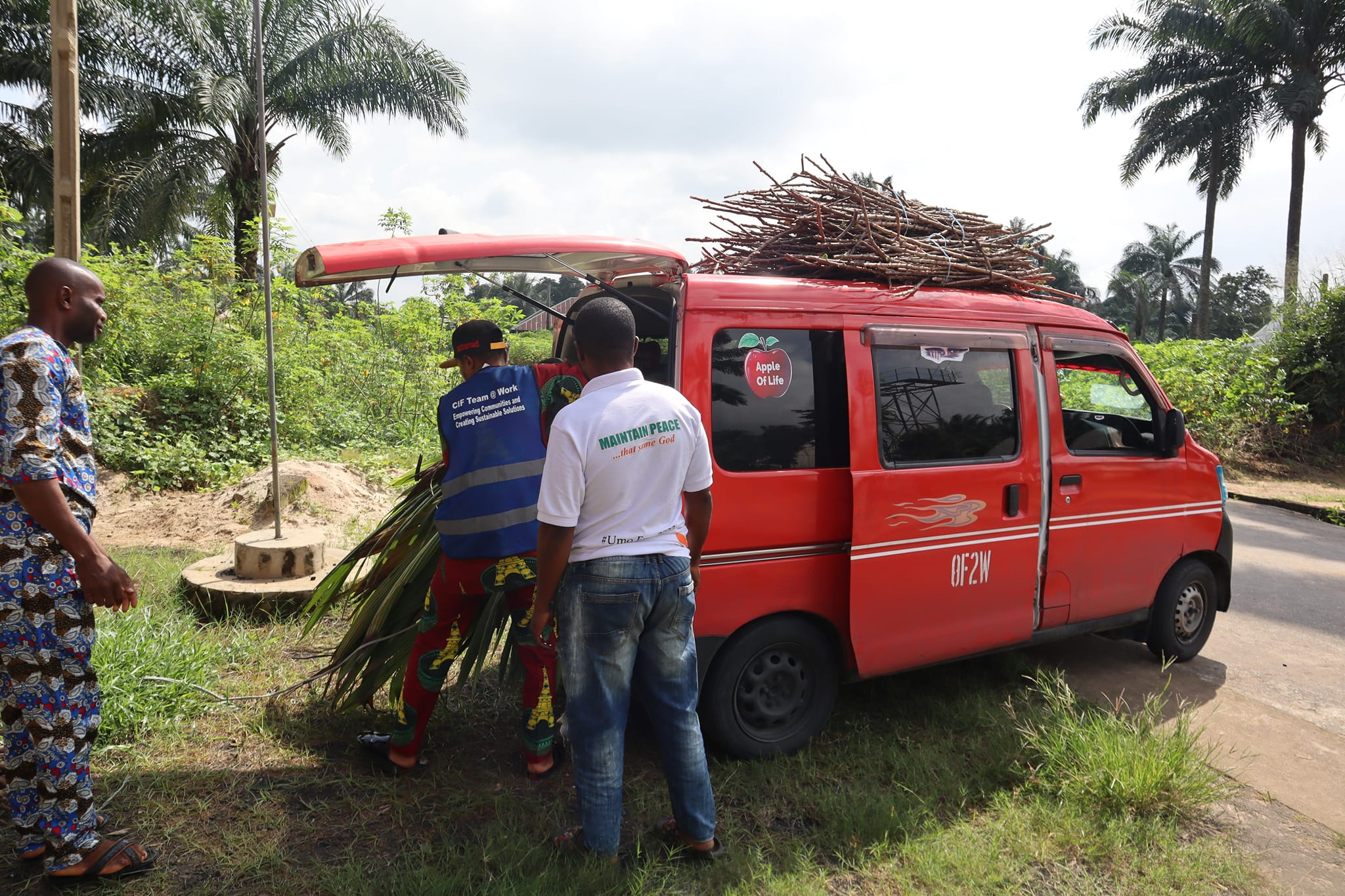 Distribution of Cassava Stem and Coconut Seedlings.